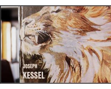 Février 2016 en livres : Savane, Alchimistes, Moyen-Âge, Épouvante & Requin !