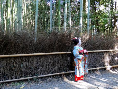 Bamboo Forest