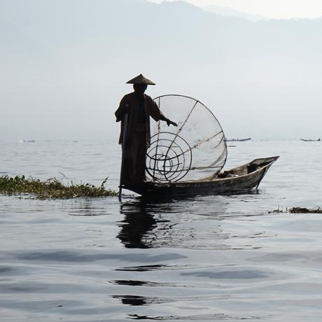 Les équilibristes du Lac Inle