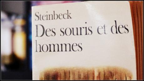 Mars 2016 en livres : Malraux, Steinbeck, Druon, Amérindiens, Fitzgerald, Simetierre & Flagler !
