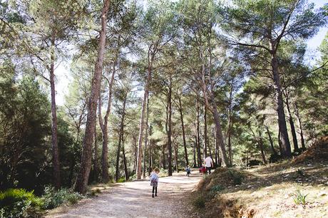 Entre ville fortifiée et forêt espagnole (Alcudia & Es Coll Baix, Mallorca)