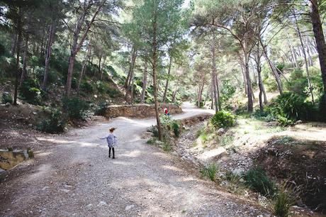 Entre ville fortifiée et forêt espagnole (Alcudia & Es Coll Baix, Mallorca)