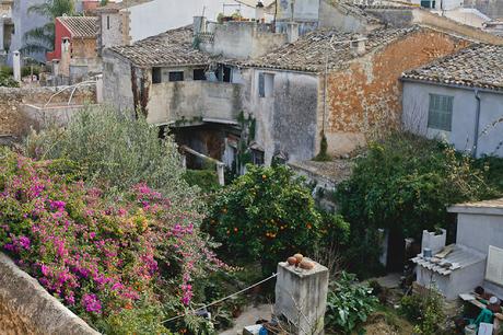 Entre ville fortifiée et forêt espagnole (Alcudia & Es Coll Baix, Mallorca)