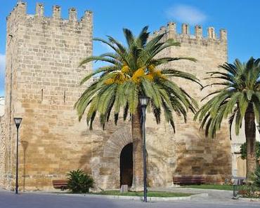 Entre ville fortifiée et forêt espagnole (Alcudia & Es Coll Baix, Mallorca)