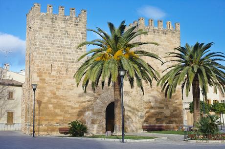 Entre ville fortifiée et forêt espagnole (Alcudia & Es Coll Baix, Mallorca)