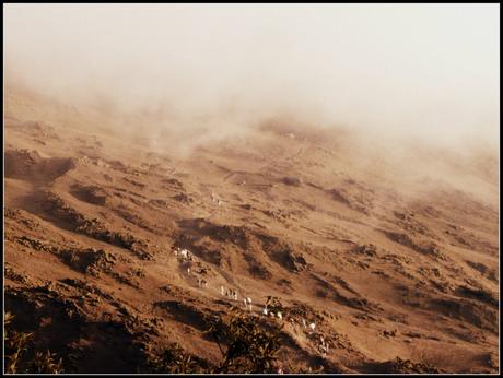 Pacaya : Frousse sur les pentes d’un volcan spectaculaire