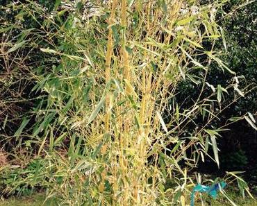 Ten on Ten: April 2016