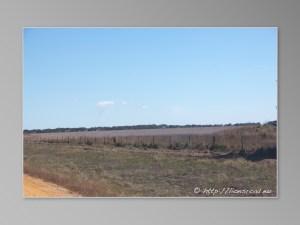 Découvertes de la route Australienne du Victoria