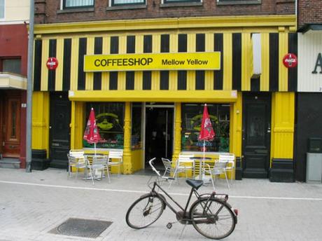 coffee shops amsterdam mellow yellow