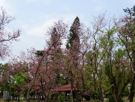 Tainan - Anping & Tainan Park