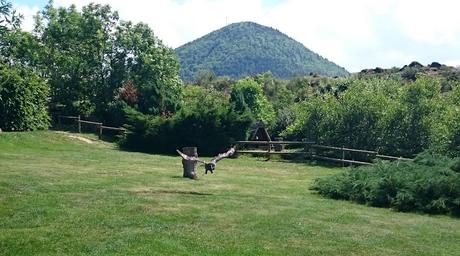 Les aigles d'Aure : la volerie des Pyrénées