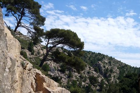 côte bleue randonnée ensuès la redonne