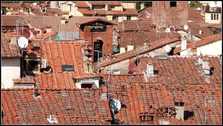 Lucques : Sous le charme de la ville parfaite