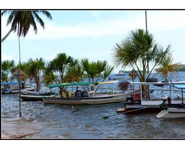 Alter do Chao : La forêt inondée d’Amazonie