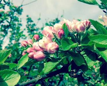 Sunny Monday #17