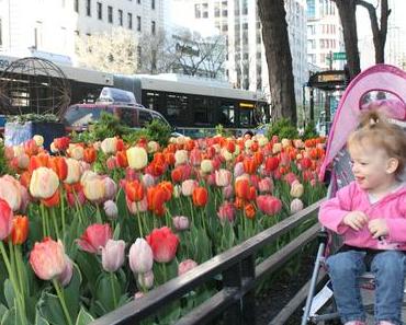 Heureux d’un printemps… à Chicago!