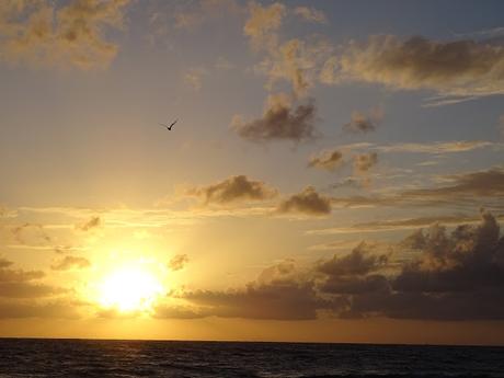 Quand le soleil sublime Chypre