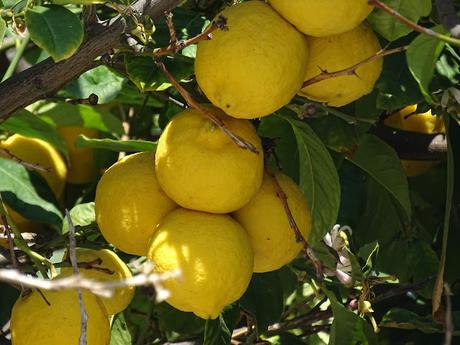 10 Bonnes raisons d'aller à Chypre