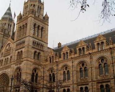 Londres : Musée d’Histoire Naturelle