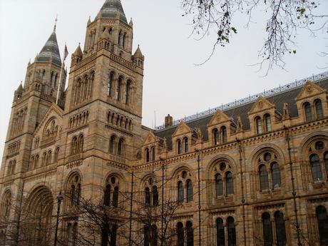 Londres : Musée d’Histoire Naturelle