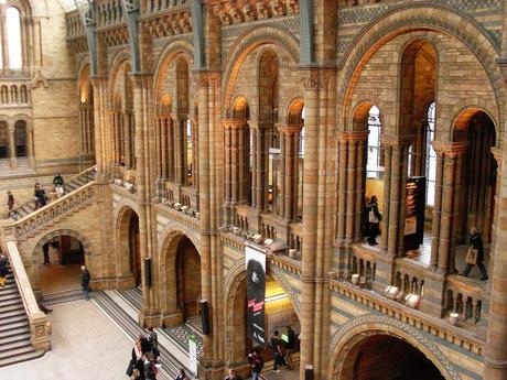 Londres : Musée d’Histoire Naturelle