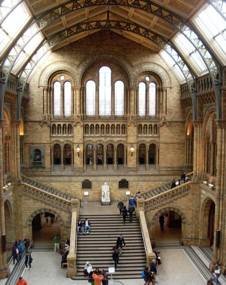 Londres : Musée d’Histoire Naturelle