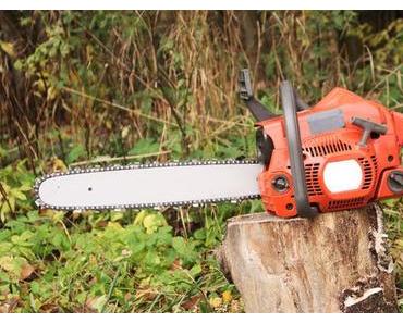 Chainsaw massacre