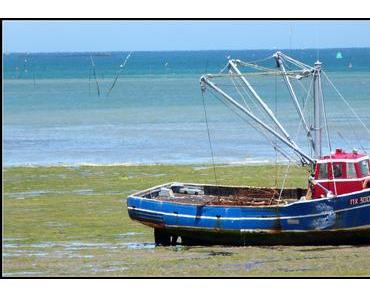 Carantec : Douce gardienne de la baie de Morlaix