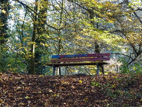 Balade en Nord à rendez-vous avec #EnFranceAussi à Lille au parc de la citadelle