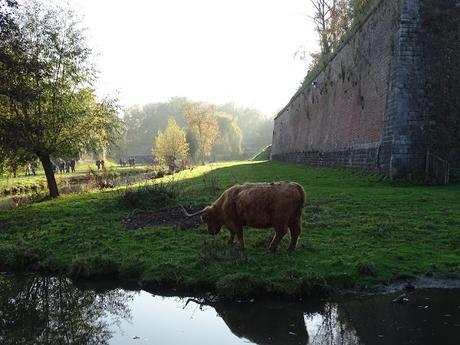 Balade en Nord à rendez-vous avec #EnFranceAussi à Lille au parc de la citadelle