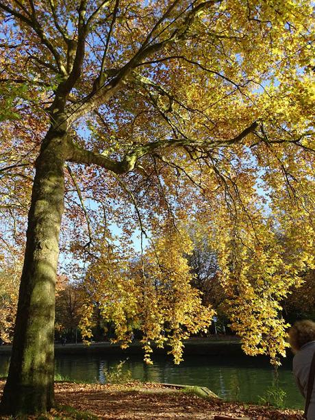 Balade en Nord à rendez-vous avec #EnFranceAussi à Lille au parc de la citadelle