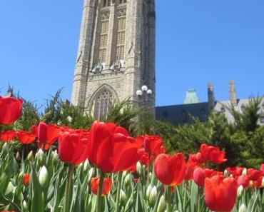 Ottawa : Une ville en fleurs