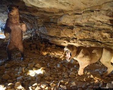 Les grottes de Soyons