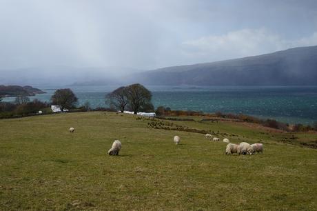 écosse highlands île mull craignure