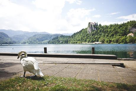 Un après-midi à Bled.