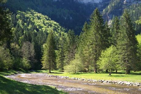 savoie randonnée balade chartreuse isère cirque saint meme