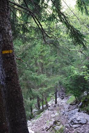 savoie randonnée balade chartreuse isère cirque saint meme