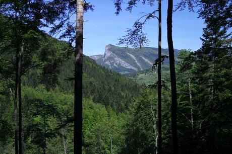 savoie randonnée balade chartreuse isère cirque saint meme