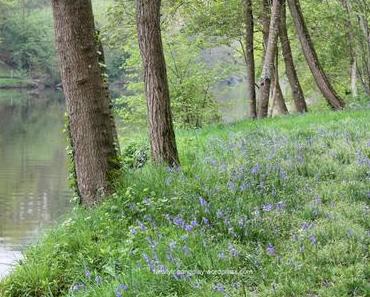 Au fil de la Sèvre à Clisson