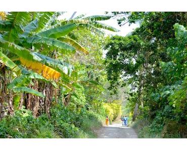 Vanuatu #6 : A la rencontre des Big et Small Nambas sur l’île de Malekula