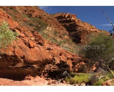 Le Parc Kennedy Range une pépite dans l’Outback de l’Ouest Australien
