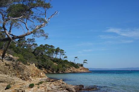 var porquerolles plage notre-dame