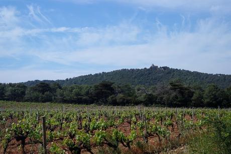 var porquerolles intérieur terre vignes