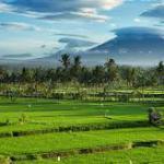 8 Raisons pour visiter Bali en famille.