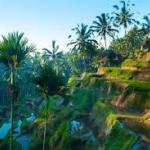 8 Raisons pour visiter Bali en famille.