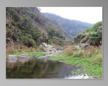 Welcome Great Ocean Road – jour 2 : retour à l’esprit vagabond