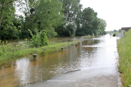 loire-mauves-deborde-2