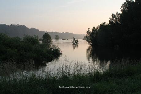 loire-mauves-deborde