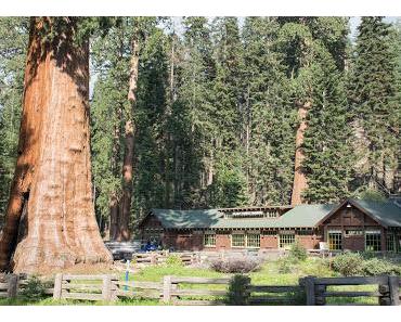 Séquoïa National Park