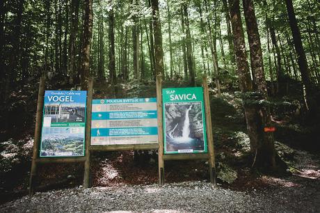 BOHINJ : S'en mettre plein les yeux avant de quitter la Slovénie.